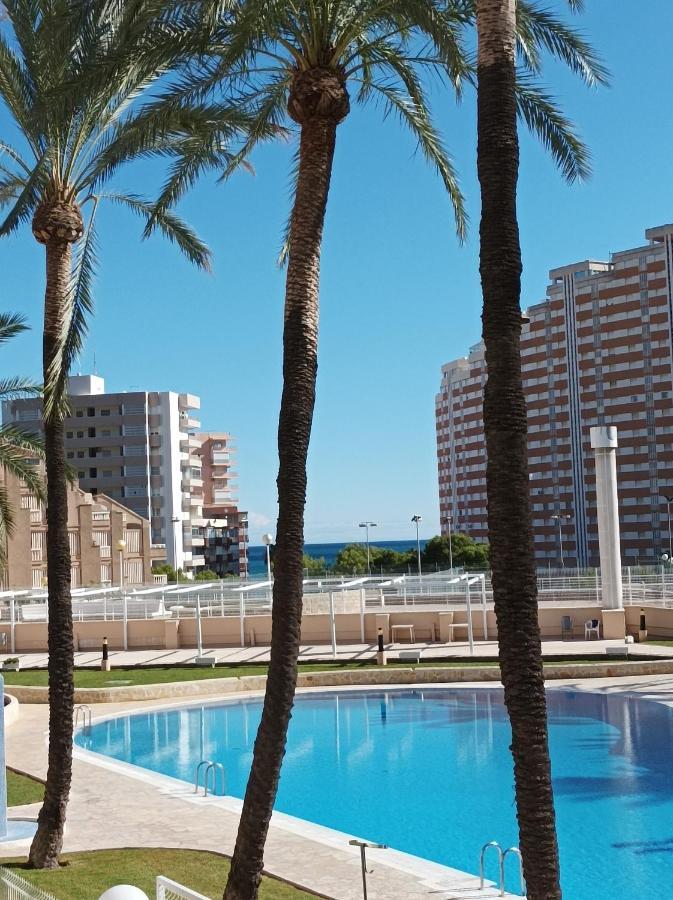 Almar Collection Cullera Bahia Park Lägenhet Exteriör bild